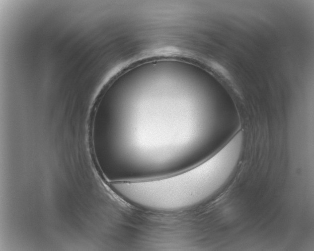 X0000062611326200512210927