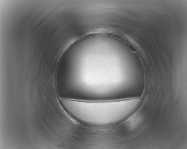 X0000062611329200512210927