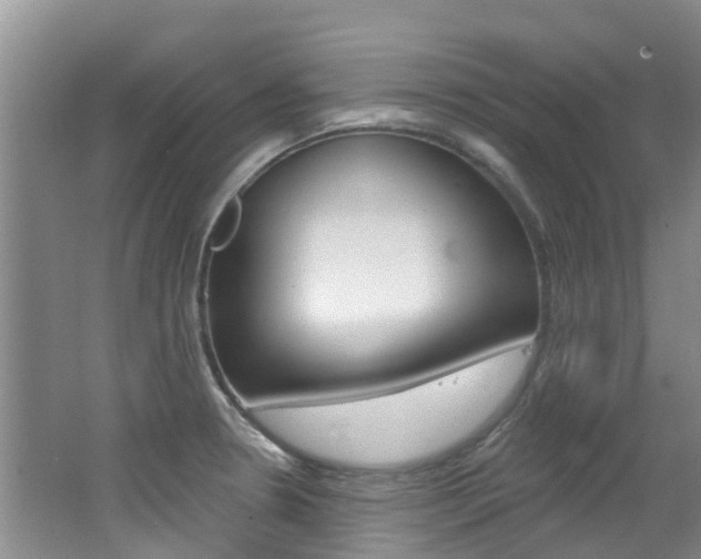 X0000062611330200512210927