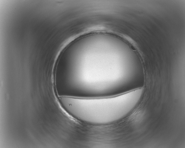 X0000062611335200512210927