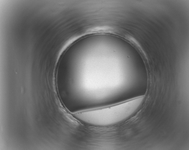 X0000062611336200512210927