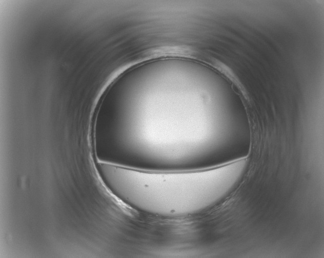 X0000062611339200512210927
