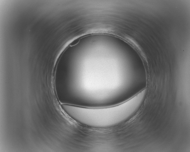 X0000062611340200512210927