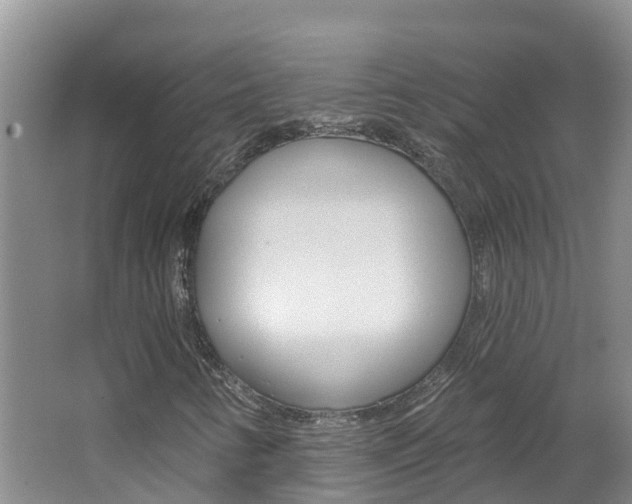 X0000062611346200512210926