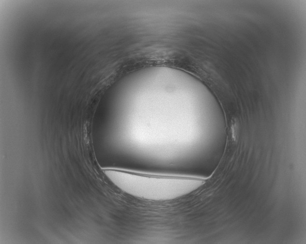 X0000062611347200512210926