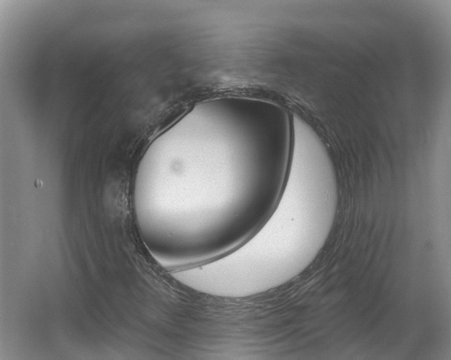 X0000062611348200512210926
