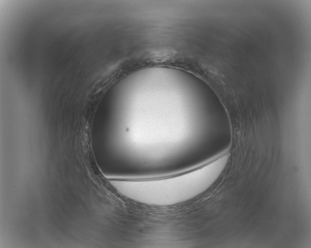 X0000062611349200512210926
