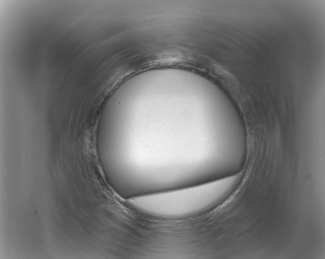 X0000062611353200512210926