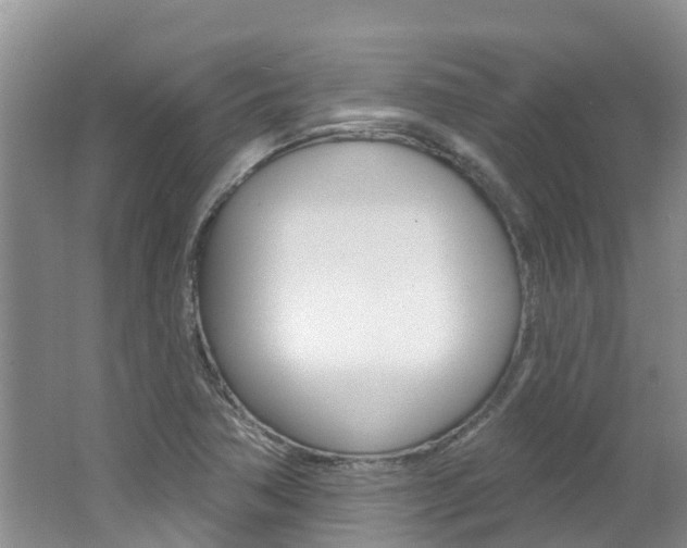 X0000062611362200512210926