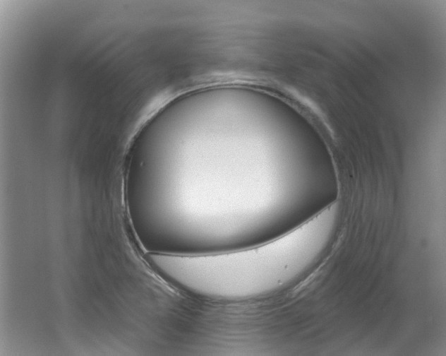 X0000062611365200512210926