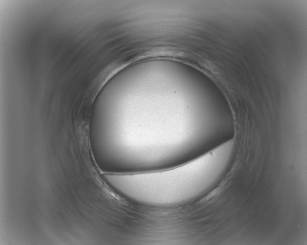 X0000062611369200512210926