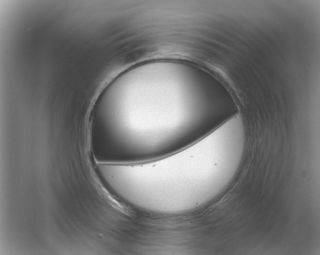 X0000062611371200512210926