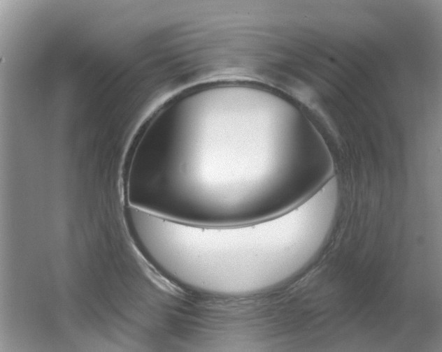 X0000062611372200512210926
