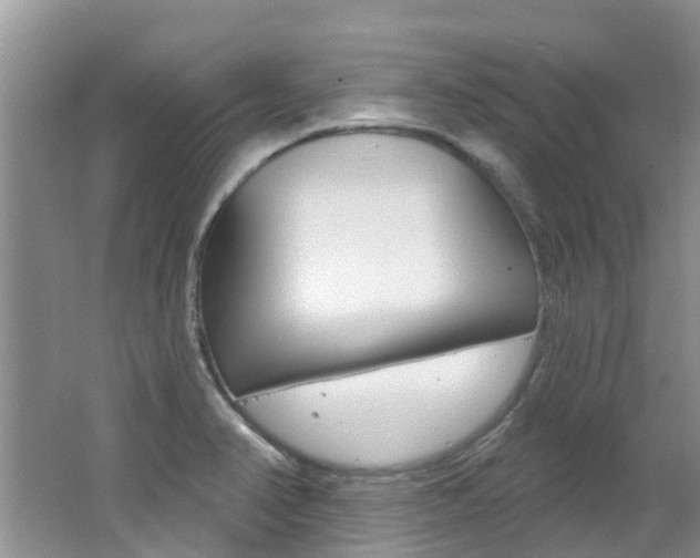 X0000062611374200512210926