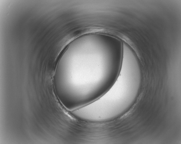 X0000062611377200512210926