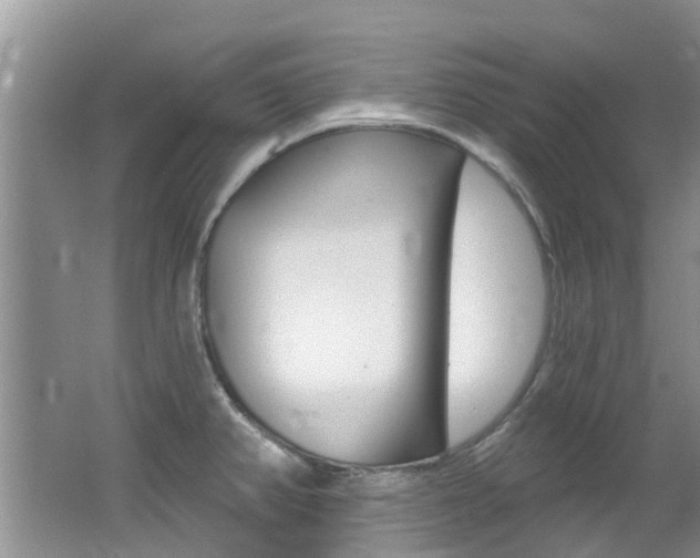 X0000062611382200512210926