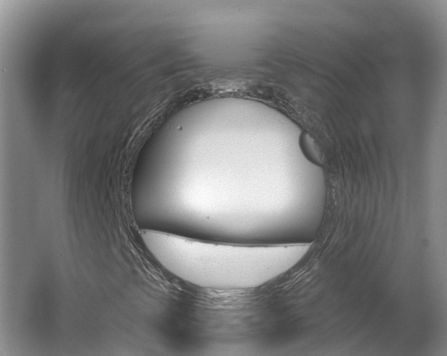 X0000062611393200512210925