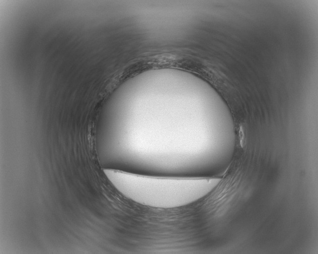 X0000062611395200512210925