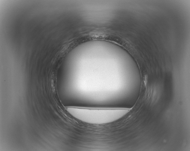 X0000062611396200512210925