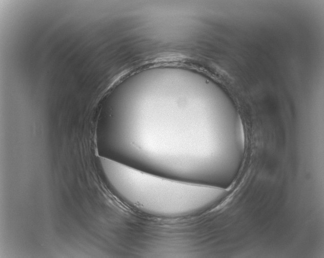 X0000062611401200512210925