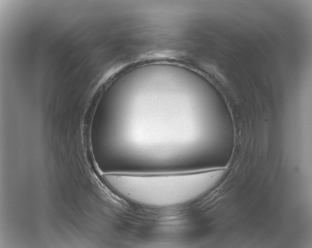 X0000062611404200512210925