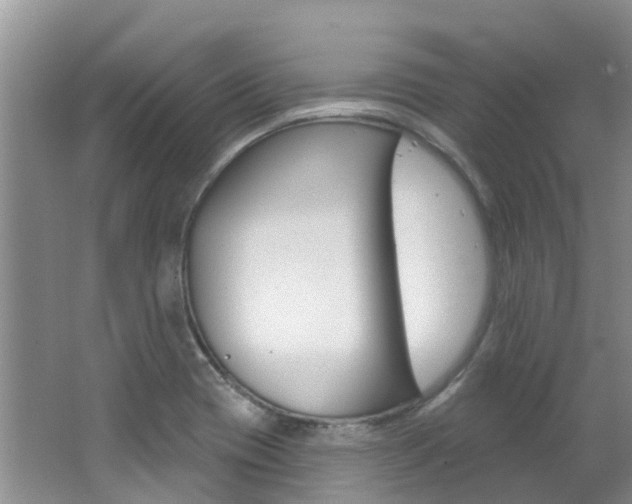 X0000062611417200512210925