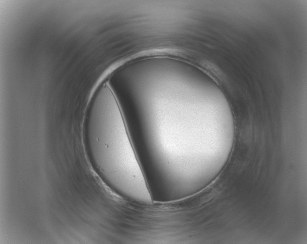 X0000062611420200512210925