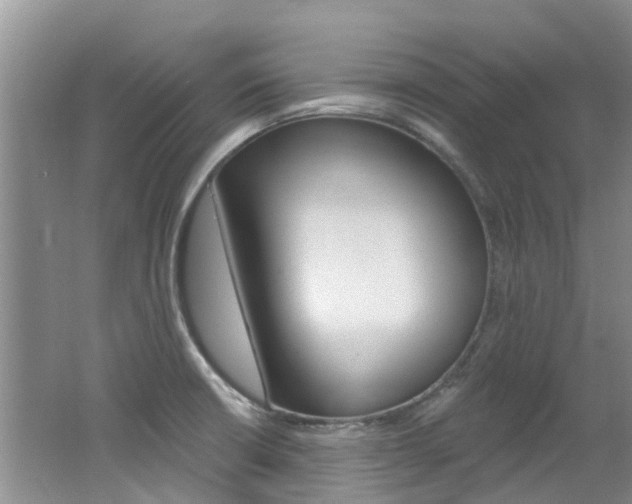 X0000062611426200512210925