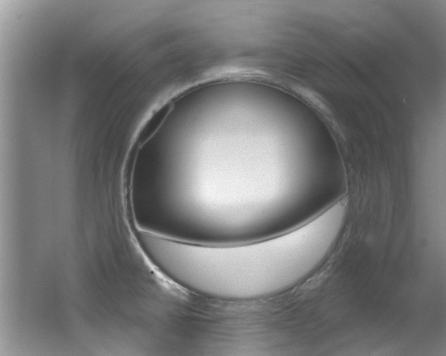 X0000062611430200512210925