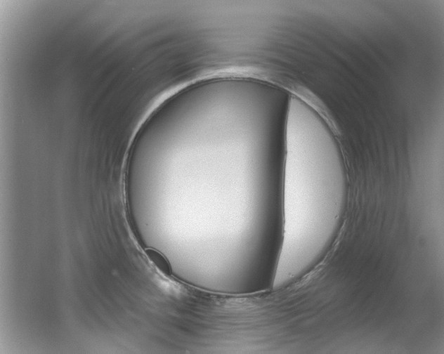 X0000062611436200512210925