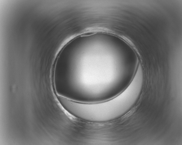 X0000062611438200512210925