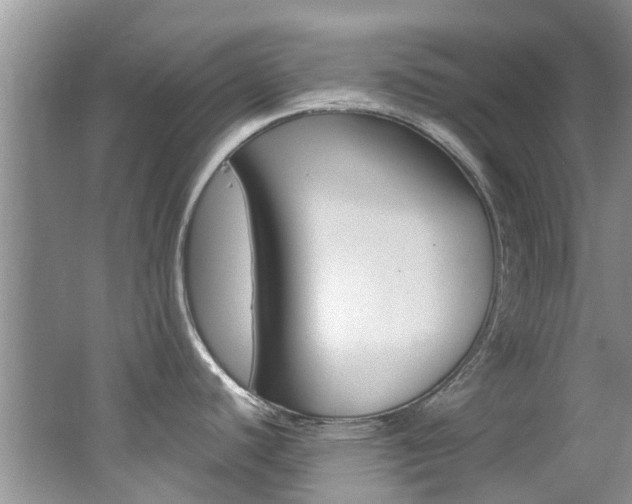 X0000062611440200512210925