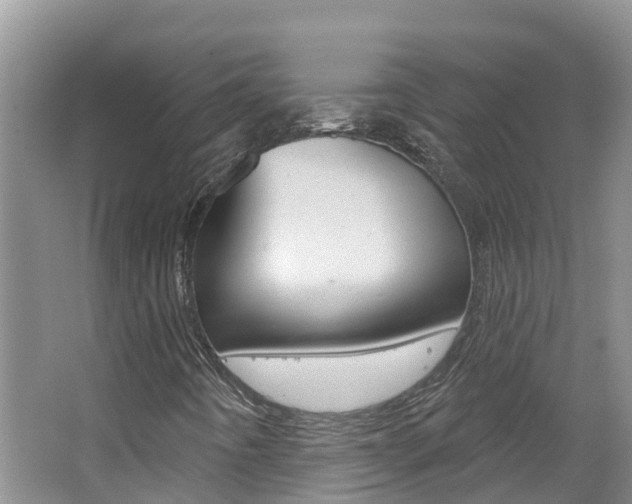 X0000062611442200512210924