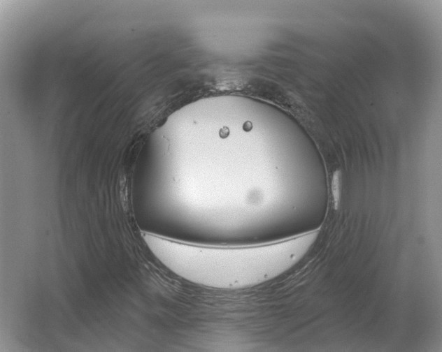 X0000062611443200512210924
