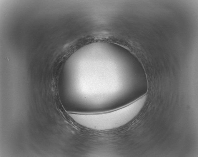 X0000062611445200512210924