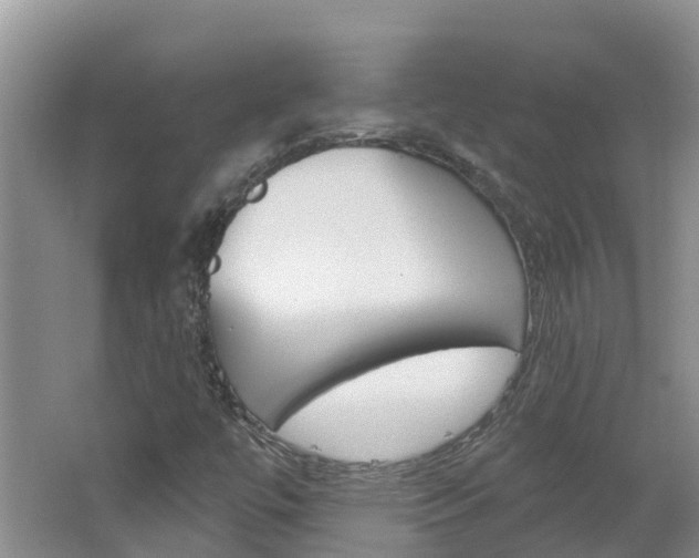X0000062611447200512210924
