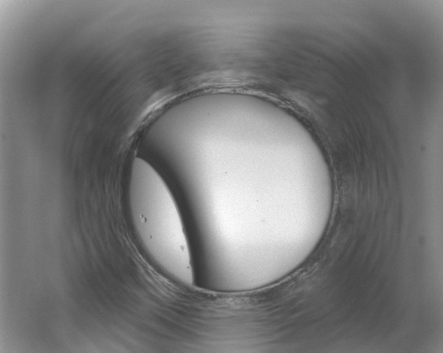 X0000062611451200512210924