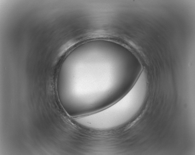 X0000062611453200512210924