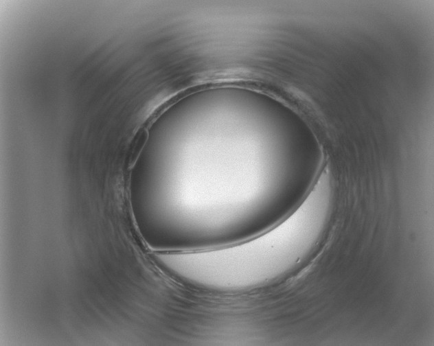 X0000062611457200512210924