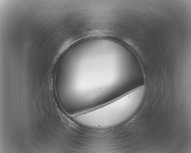 X0000062611459200512210924