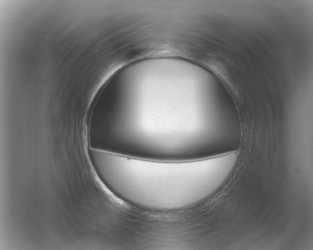 X0000062611476200512210924