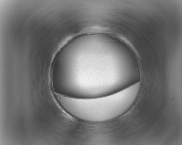 X0000062611477200512210924