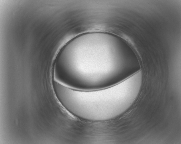 X0000062611480200512210924