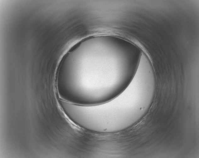 X0000062611485200512210924