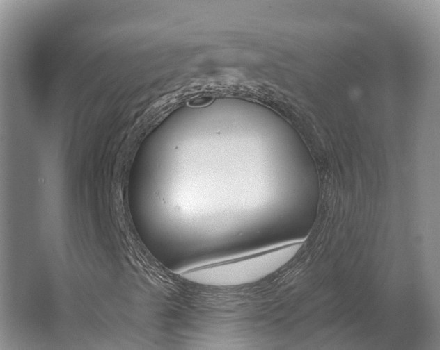 X0000062611489200512210923