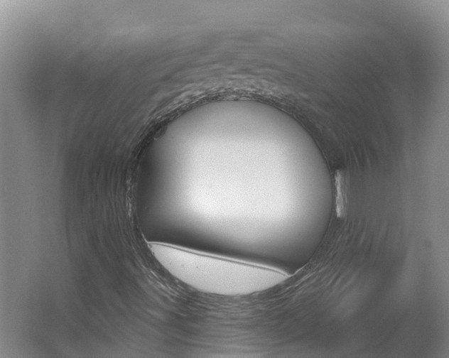 X0000062611491200512210923