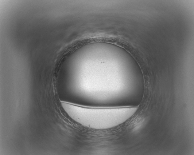X0000062611493200512210923