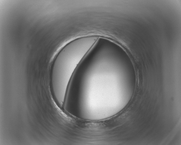 X0000062611500200512210923