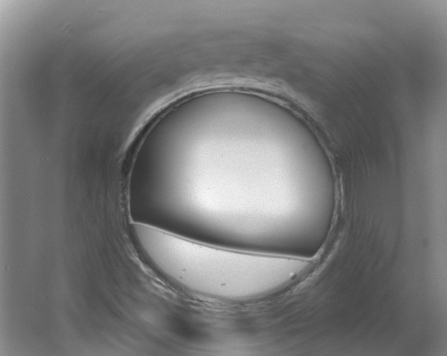 X0000062611501200512210923