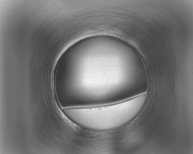 X0000062611516200512210923